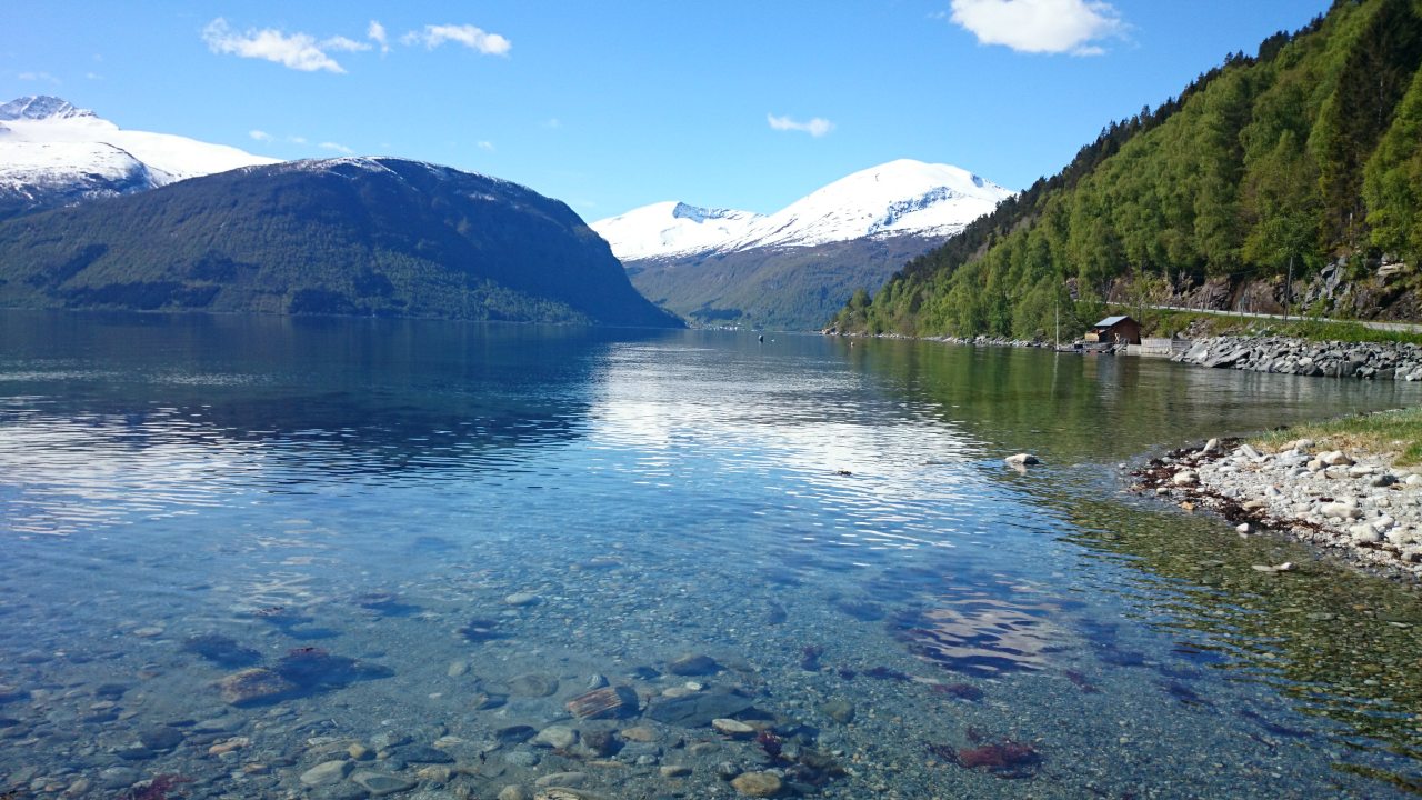 Muri Hytteutleige og camping — photo 8